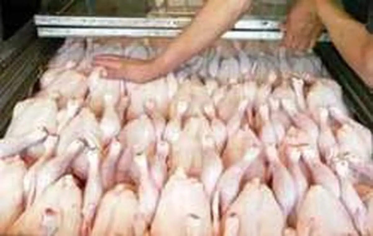 برخورد قاطع و آنی با تخلفات در توزیع گوشت، مرغ و شکر
