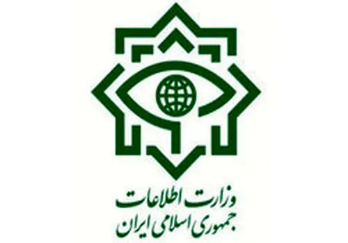 بازداشت گرداننده صفحه معاند در فضای مجازی