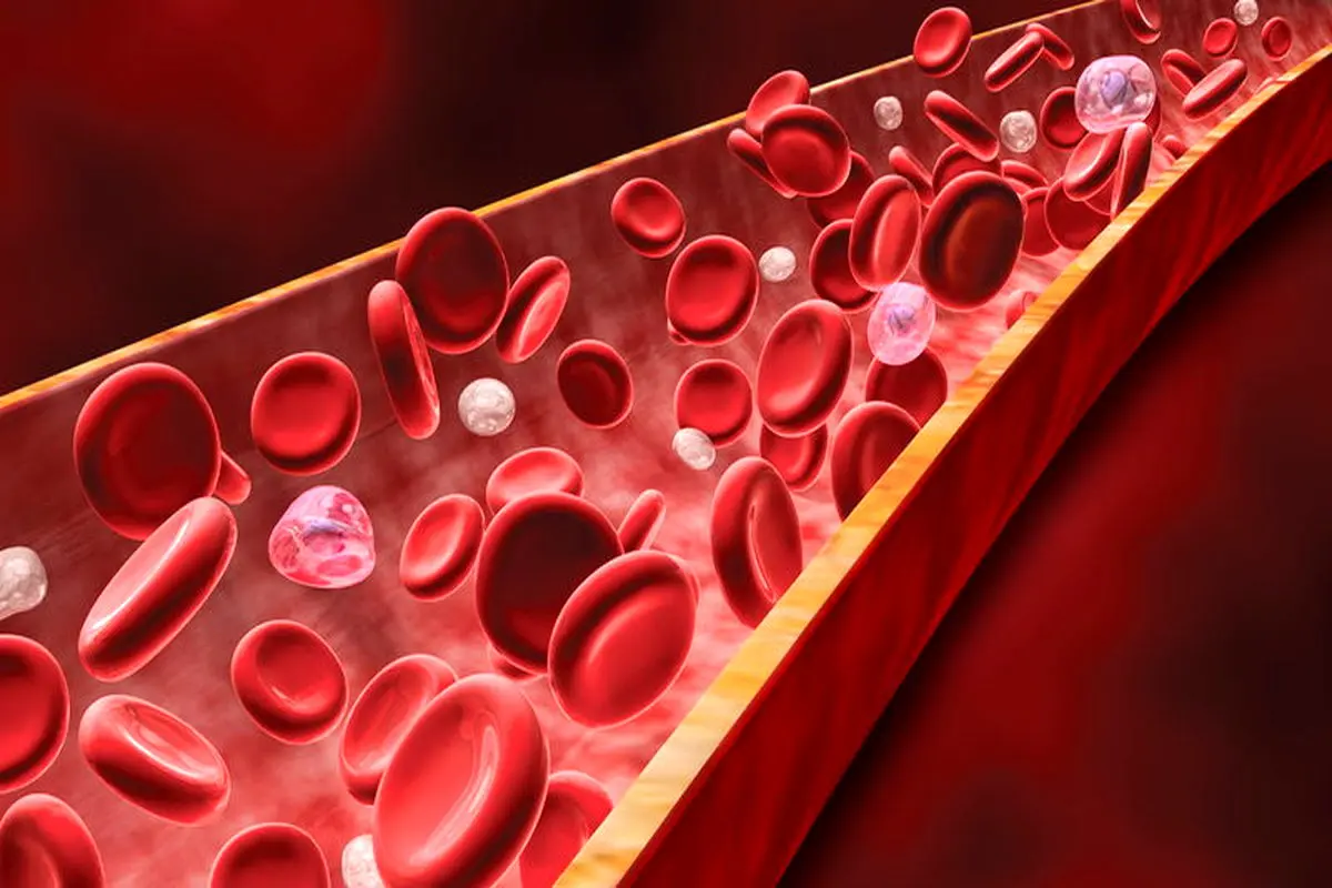 ارزیابی عملکرد پلاکت خون تنها در ۲ دقیقه