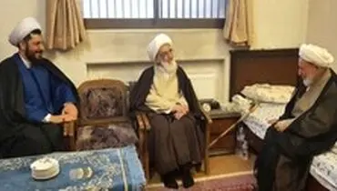 دیدار آیت الله نوری همدانی با آیت الله یزدی