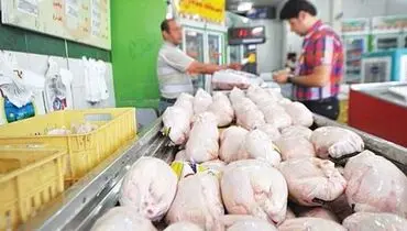 مرغ دولتی به استان‌های مسافرپذیر پرواز کرد؛ کیلویی ۱۱ هزار و ۵۰۰ تومان