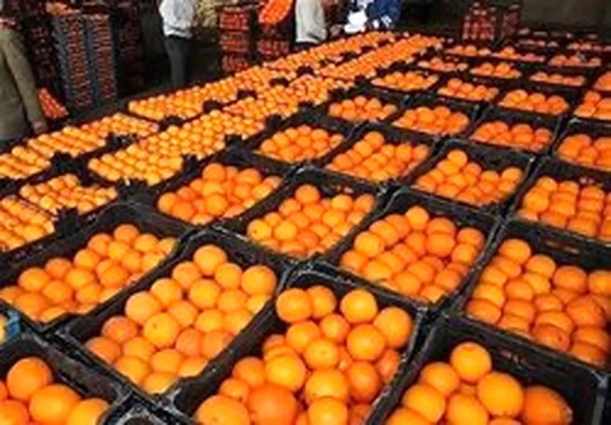 نصف میوههای تنظیم بازاری برای نوروز ۹۸ توزیع شد