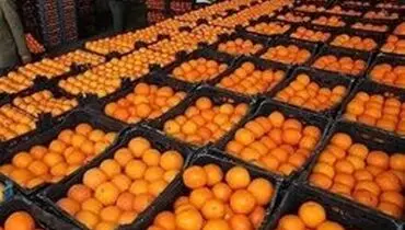 نصف میوه‌های تنظیم بازاری برای نوروز ۹۸ توزیع شد