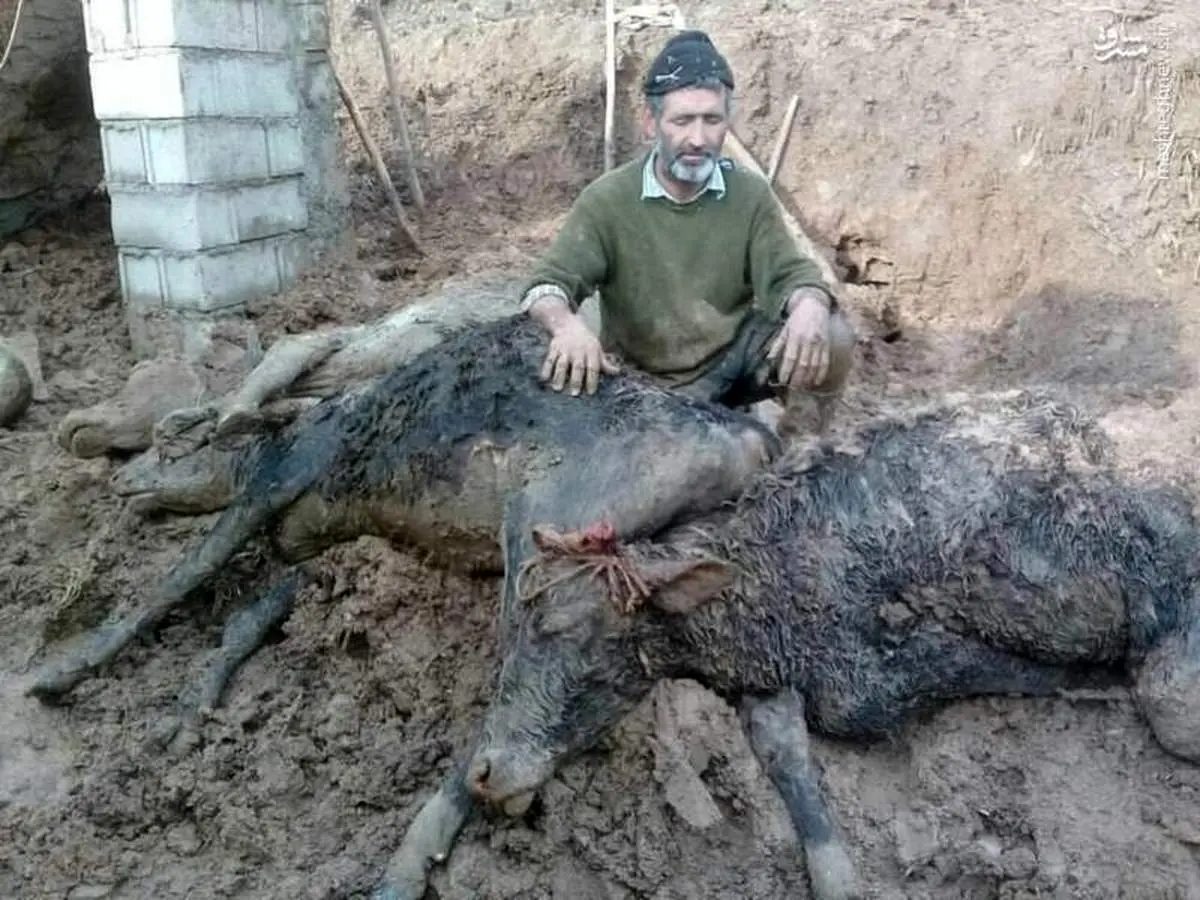 عکسی دردناک از سیل لرستان