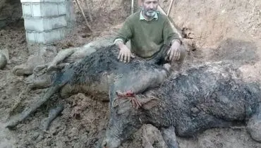 عکسی دردناک از سیل لرستان