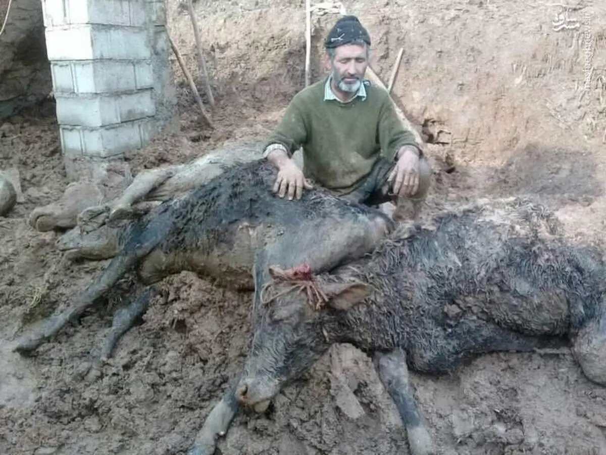 عکسی دردناک از سیل لرستان