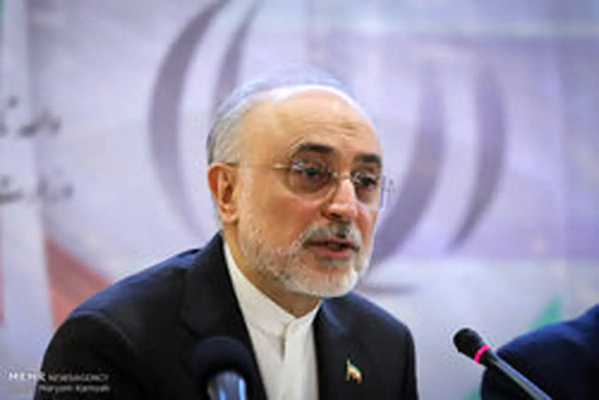 صالحی به کمیسیون امنیت ملی میرود