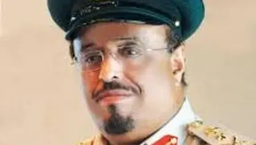 مقام اماراتی خواستار حمله به قطر شد