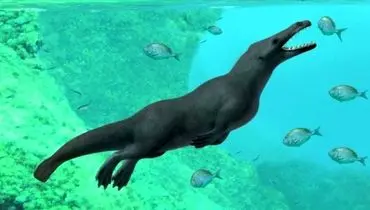 کشف فسیل ۴۳ میلیون ساله از یک نهنگ چهارپا
