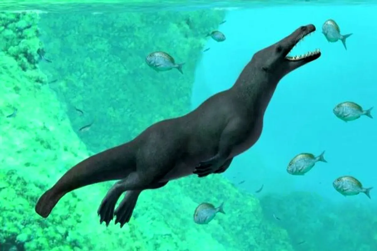 کشف فسیل ۴۳ میلیون ساله از یک نهنگ چهارپا