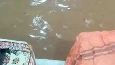 بازار وکیل شیراز را آب گرفت