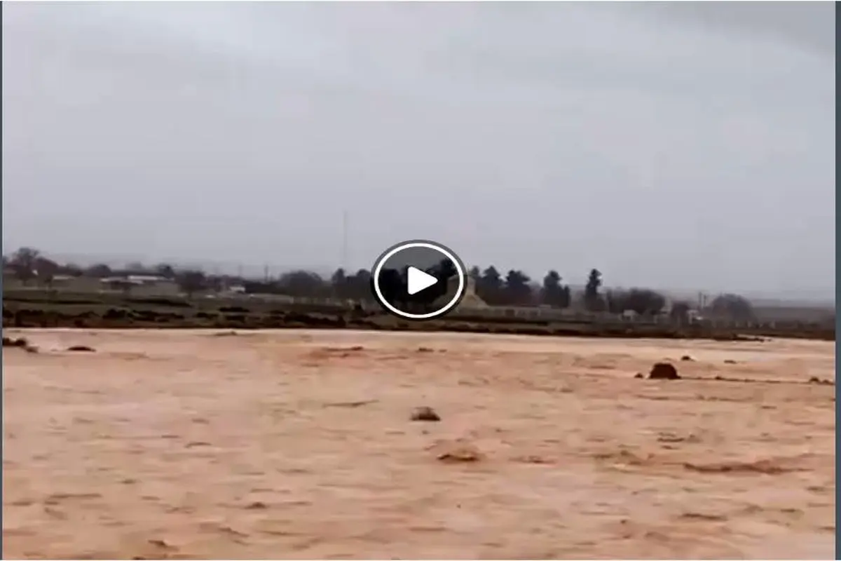 ویدیو| سیلاب به نزدیکی آرامگاه کوروش رسید