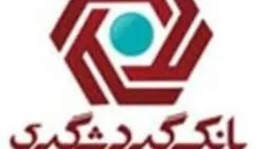 بانک گردشگری به کمک سیل زدگان شتافت