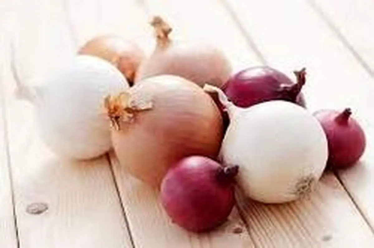 وزارت صنعت: احتمالا صادرات پیاز ممنوع میشود