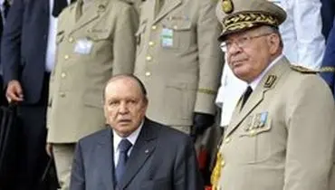 رئیس ارتش الجزایر بار دیگر خواستار اجرای مفاد قانون اساسی کشورش شد