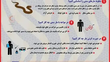 مار‌های سمی در کمین مناطق سیل‌زده گلستان؛ نسخه مواجهه با مار!