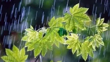 پرباران‌ترین استان‌ها در سال آبی ۹۷-۹۸ تا ۱۰ فروردین