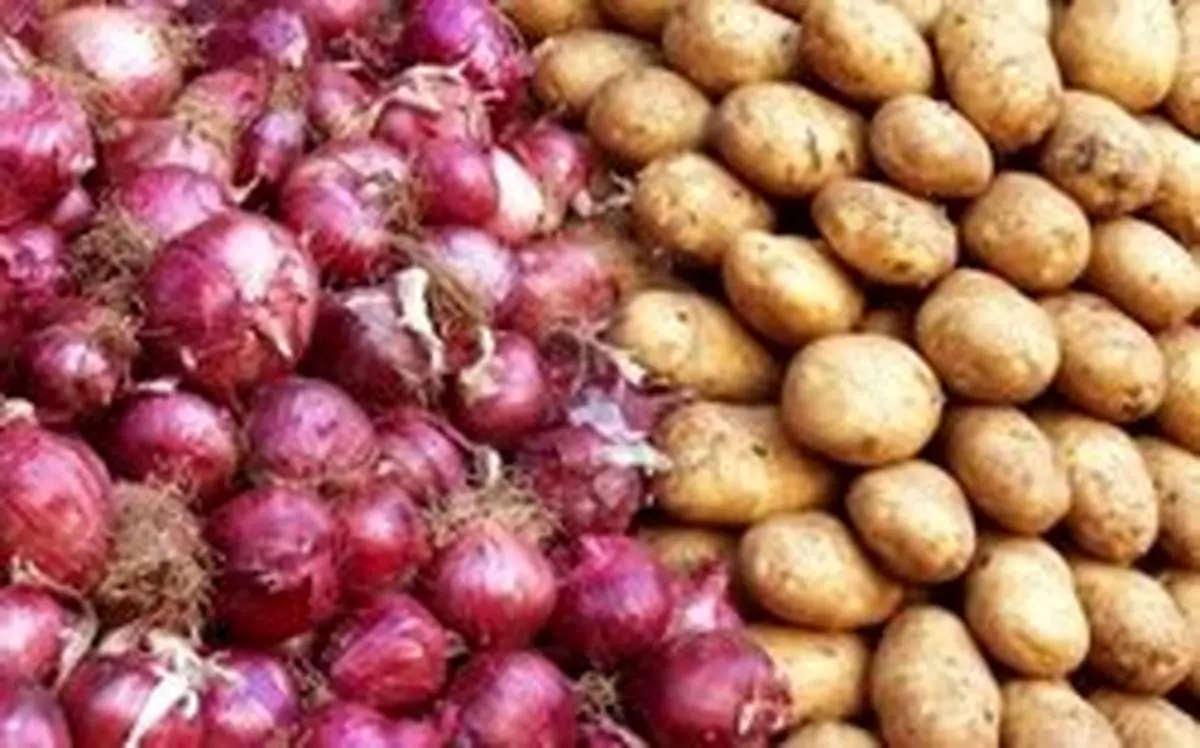 صادرات سیبزمینی و پیاز ممنوع شد