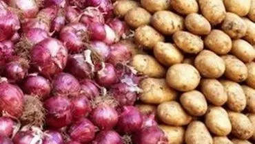 صادرات سیب‌زمینی و پیاز ممنوع شد