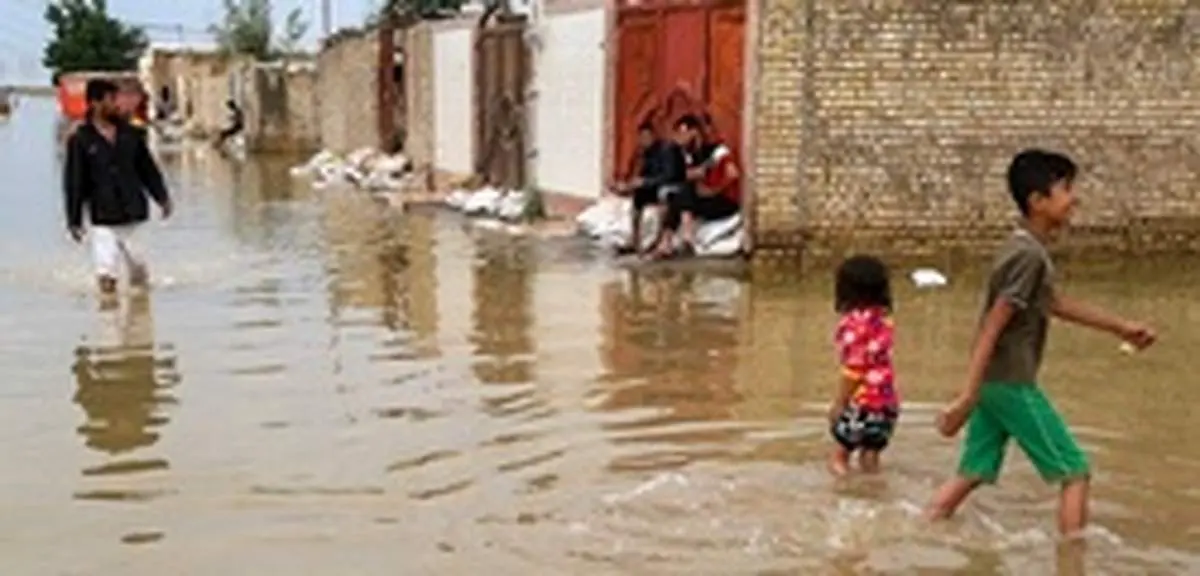 هشدار درباره گزش مار، عقرب و سگهای ولگرد در خوزستان