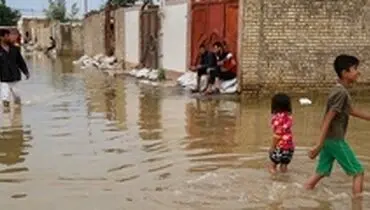 هشدار درباره گزش مار، عقرب و سگ‌های ولگرد در خوزستان