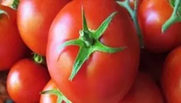 گوجه‌فرنگی از پوکی استخوان جلوگیری می‌کند