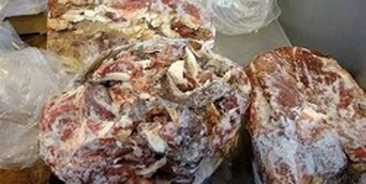 کشف ۲۰۰ کیلوگرم گوشت فاسد با سواری ام‌وی‌ام