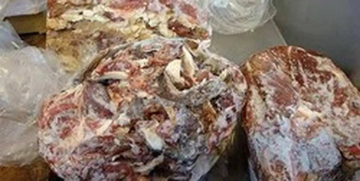 کشف ۲۰۰ کیلوگرم گوشت فاسد با سواری ام‌وی‌ام