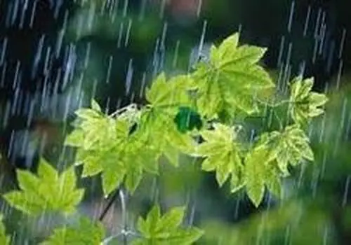 پدیده ای که برخی رودخانه‌های دائمی را خشک کرده است