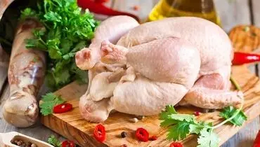 برای آنکه مرغ سالمی خریداری کنید حتما به این نکات توجه کنید