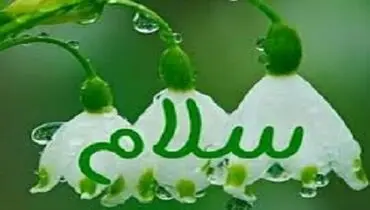 مواردی که جواب سلام واجب نیست