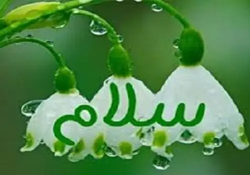 آیا زنان واقعاً کمتر از مردان خروپف می‌کنند؟
