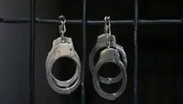 دستگیری دختر فروشنده غیرمجاز اینستاگرامی