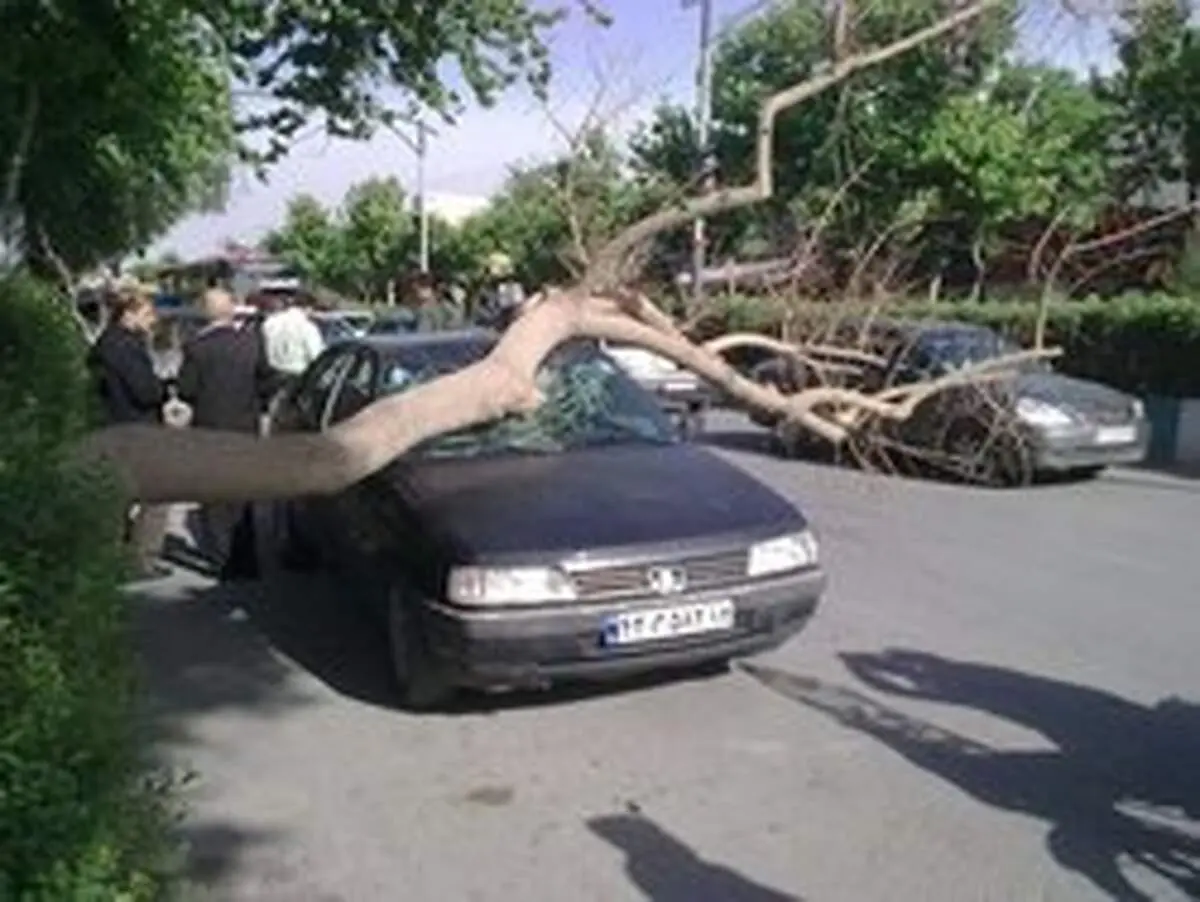 خسارت ۷ میلیارد ریالی باد شدید به اصفهان