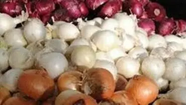 زور دلالان از دلار هم بیشتر است