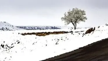 احتمال بارش برف در ارتفاعات شمالی خراسان‌جنوبی
