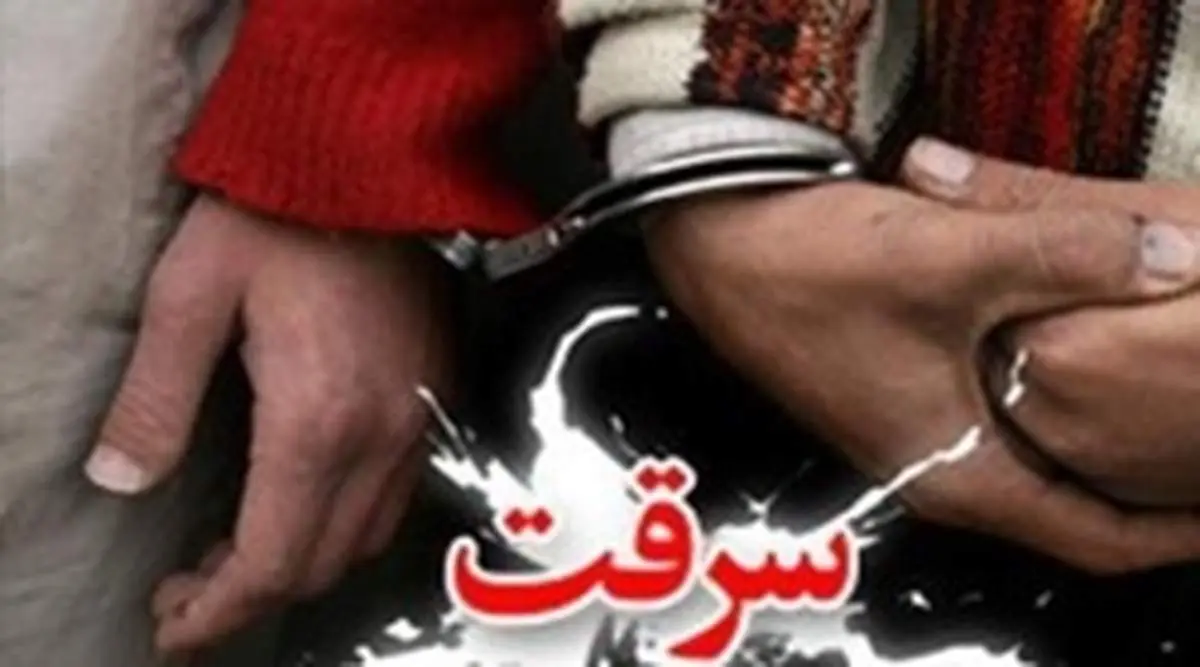 سرقت خانوادگی با نوزاد یک ساله
