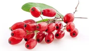 زرشک چه خواصی دارد؟