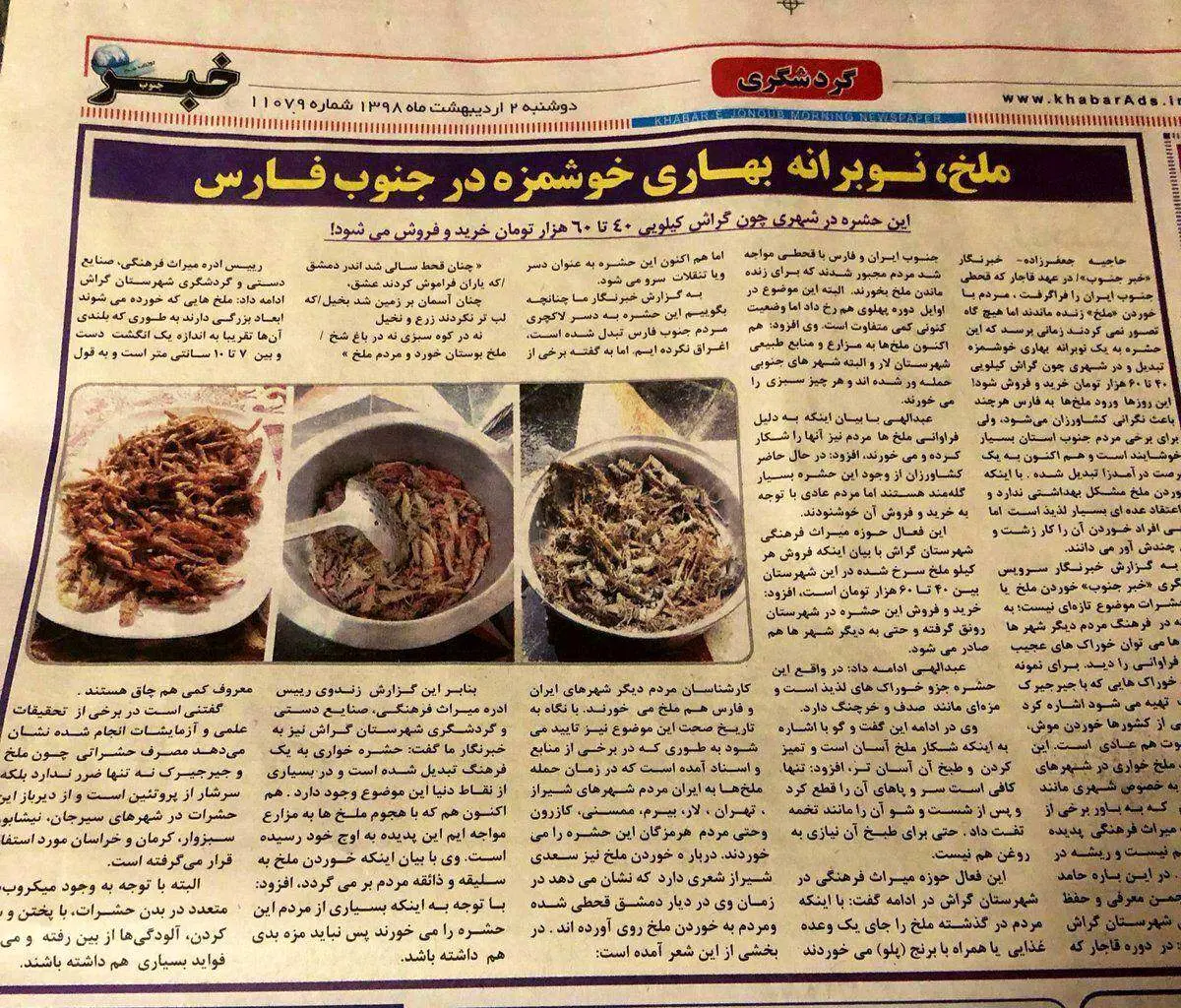 خرید و فروش ملخ، کیلویی ۶۰ هزار تومان! + عکس
