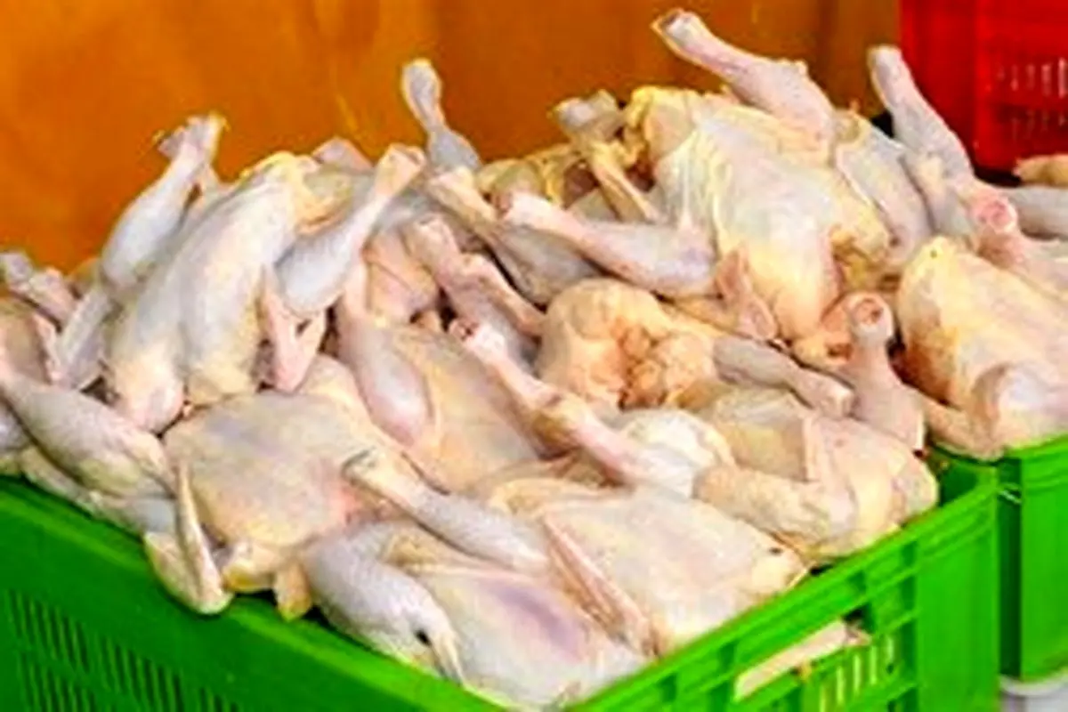 قیمت ۱۱ هزار و ۵۰۰ تومانی مرغ در کشور تثبیت شد
