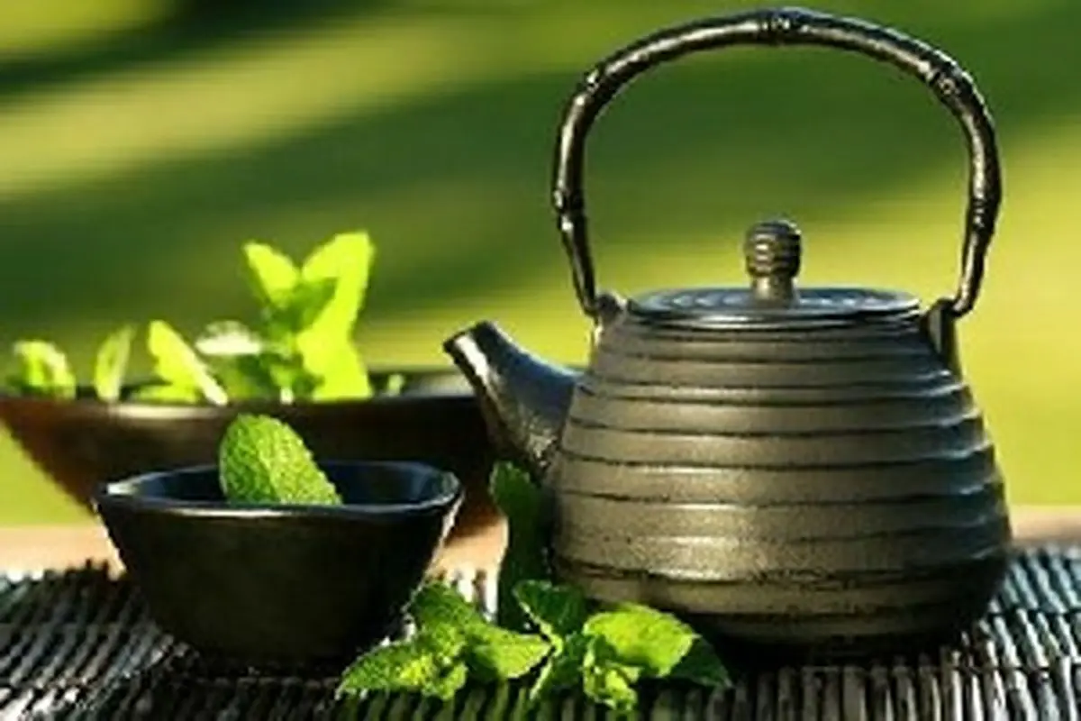 چای سبز را در این ساعات بنوشید تا لاغر شوید!