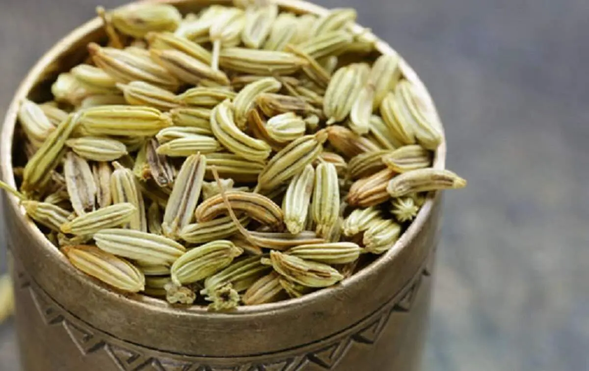 گیاهی اعجاب انگیز برای رفع مشکلات گوارشی