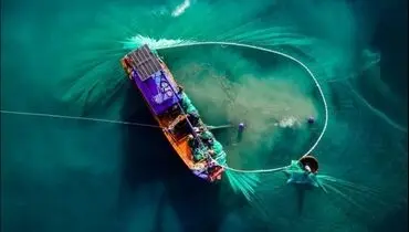 نمایی متفاوت از صید در عکس روز نشنال جئوگرافیک