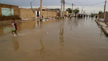 هشدار نسبت به خطر بروز "سالک" در مناطق سیل‌زده