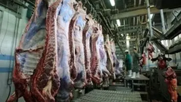 تدوام واردات گوشت با ارز ۴۲۰۰ تومانی