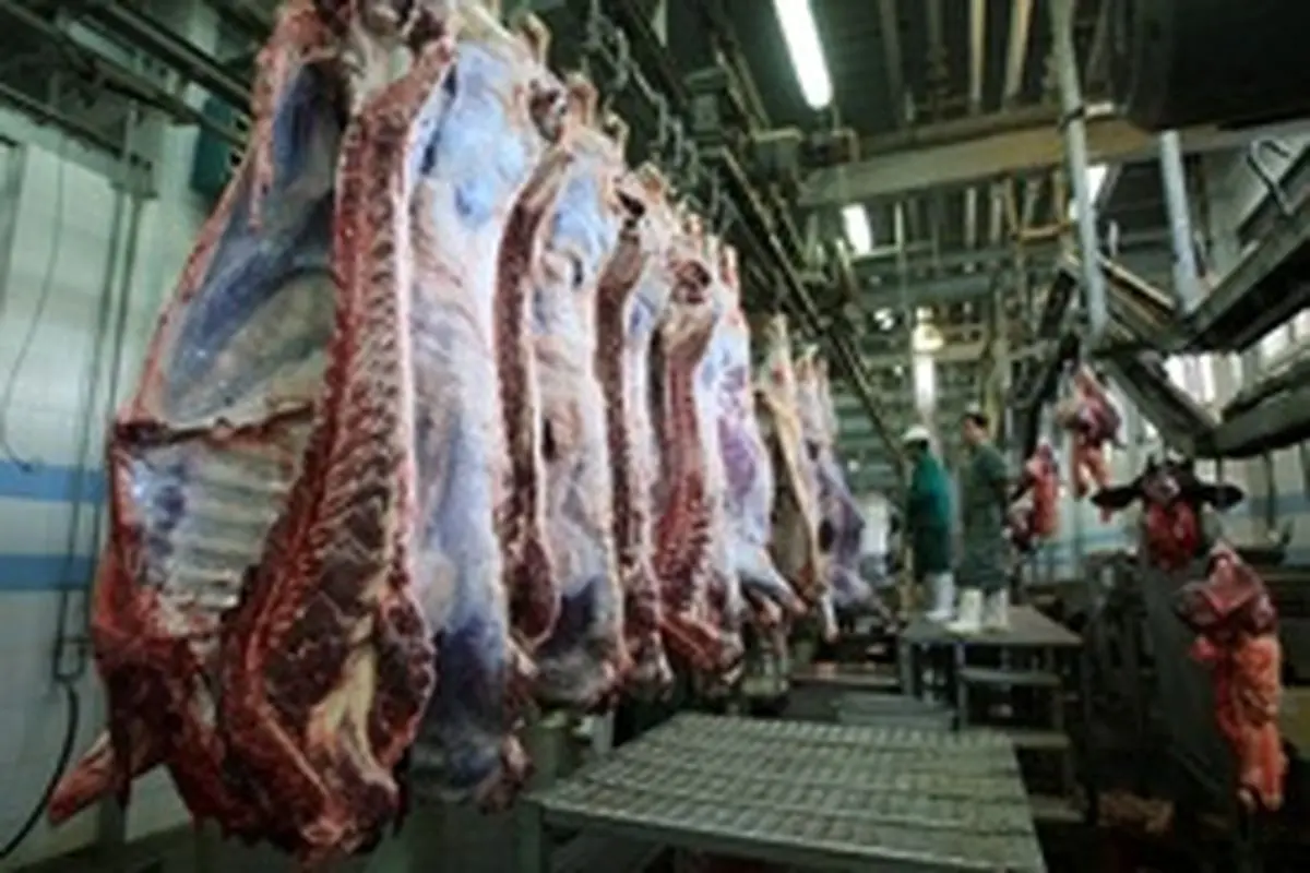 تدوام واردات گوشت با ارز ۴۲۰۰ تومانی