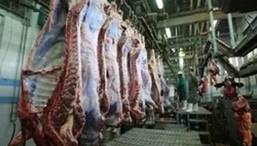 تدوام واردات گوشت با ارز ۴۲۰۰ تومانی