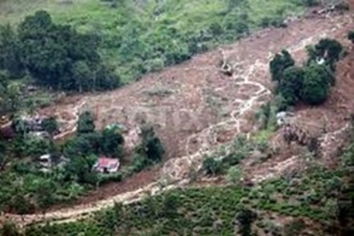 باران‌های سیل آسا در هند ۳۳ کشته داد