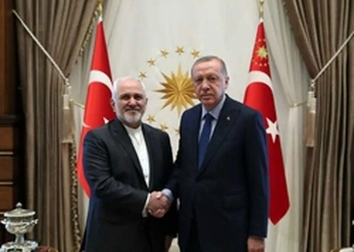 جزئیات دیدار ظریف با رئیس‌جمهور ترکیه
