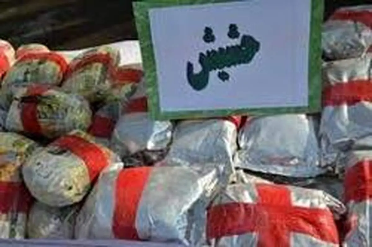 کشف ۲۶ کیلو حشیش در پایانه غرب پایتخت